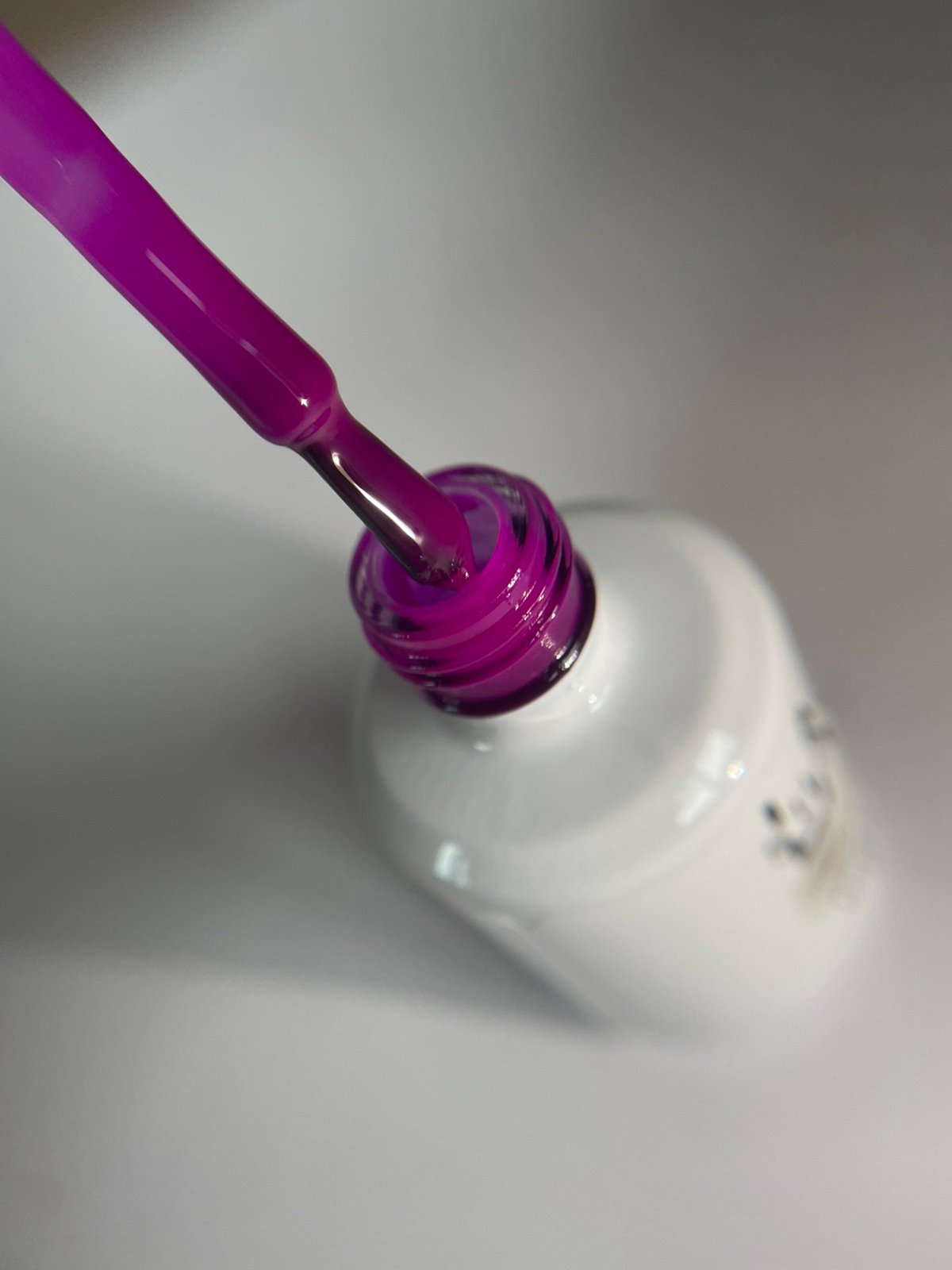 Violet #142