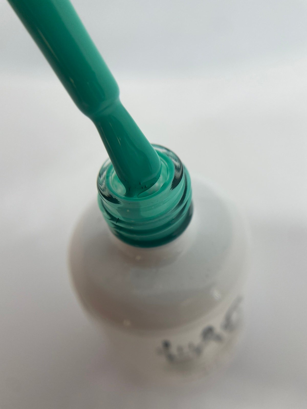 Turquoise #439