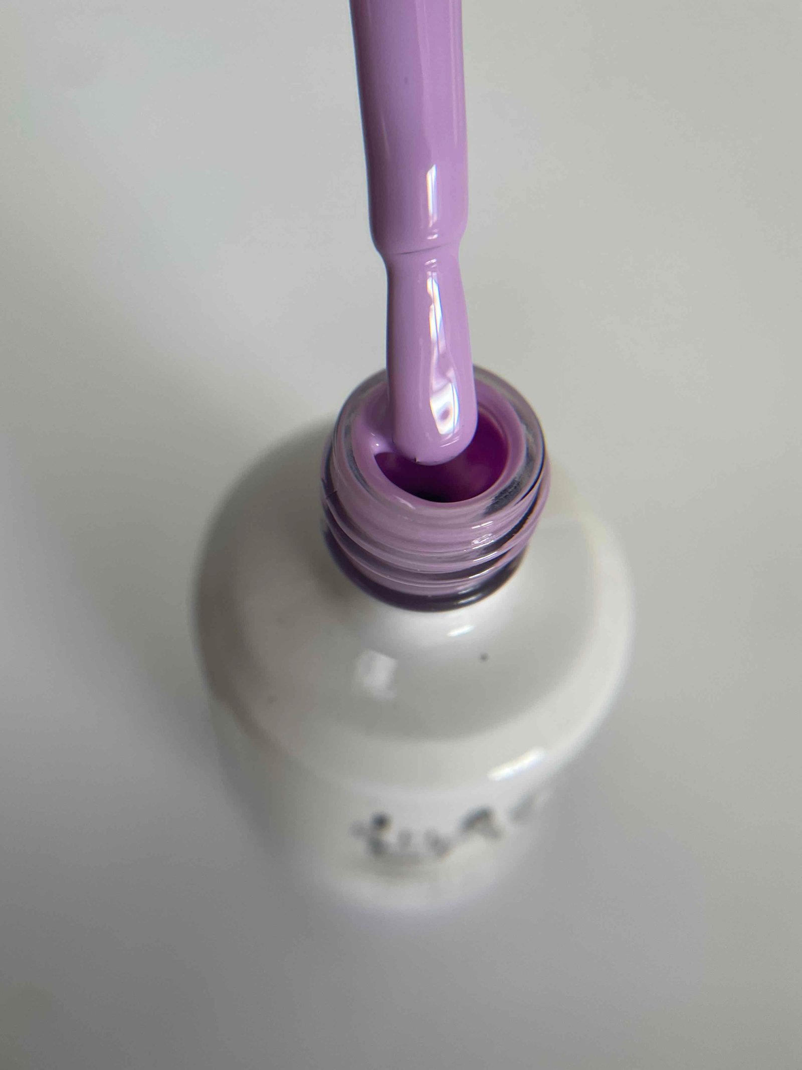 Purple #262