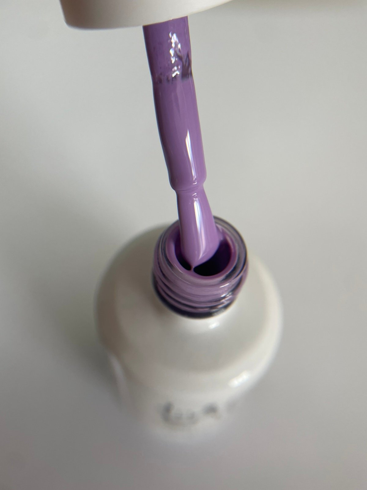 Purple #265